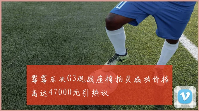 霉霉东决G3观战座椅拍卖成功价格高达47000元引热议